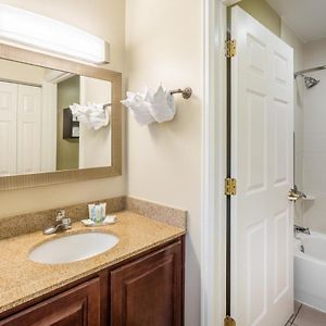 One-Bedroom King Suite City View
